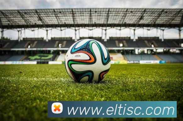 米兰体育官网网页版APP 封面图